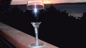 Read more about the article Carol Fortino and “Wineglass on the Veranda”